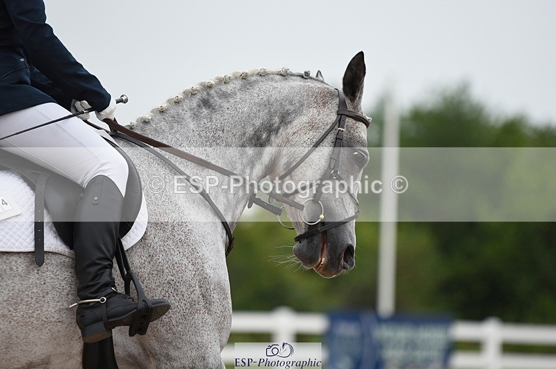 230630A-112456-01023 - Cls 4 Novice 23 Start to 11.30 break