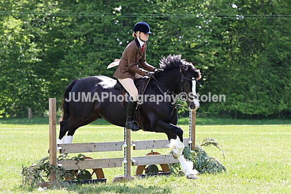 IMG_3716 - Working Hunter