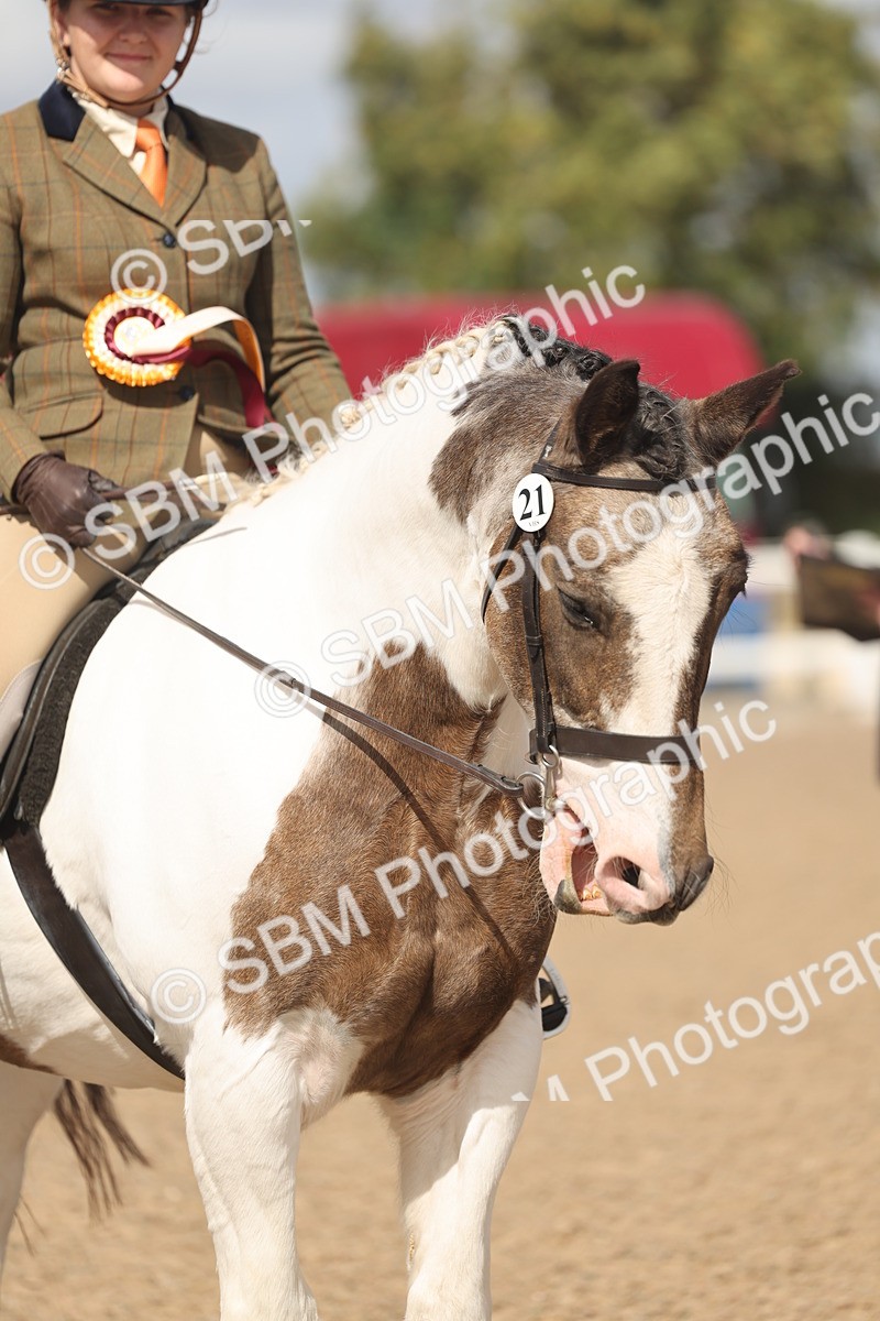 SBM_23275 - Class 807 - young Rider 11 to 16 Years