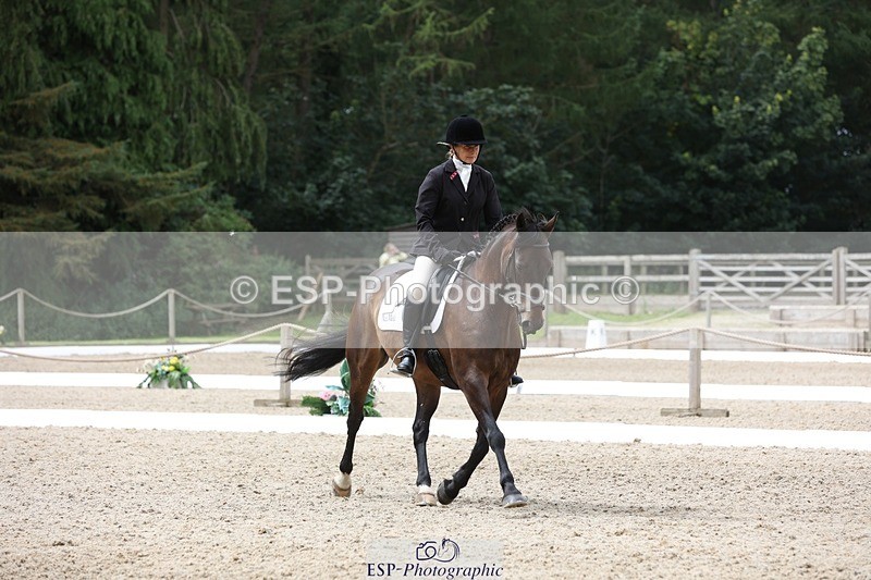 230812-122140-03994 - Cls 5 Novice Bronze 11.15 to 12.50 break