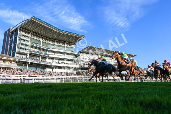 yr08102022r7-23 - Race 7 5.00pm The Coral Gets You Closer To The Action Stakes