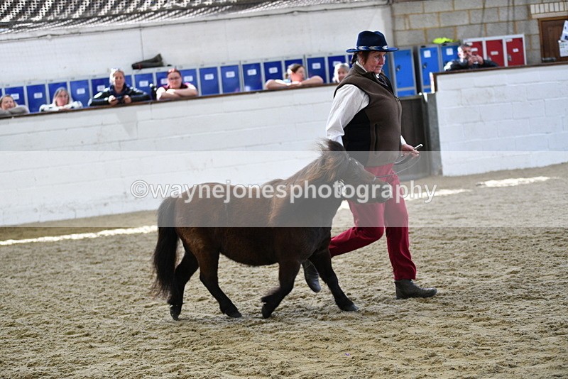 WJ5_5256 - Class 4 In hand M&M - small breeds