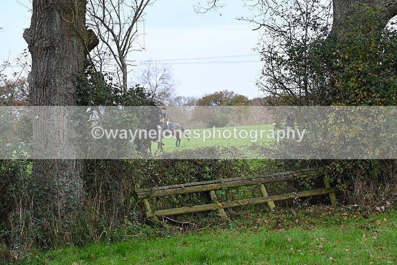 WJ7_1729 - Camera 2