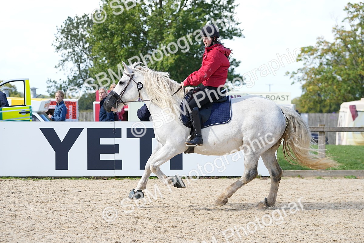 SBM_18109 - J58 - Clear Round 50cm