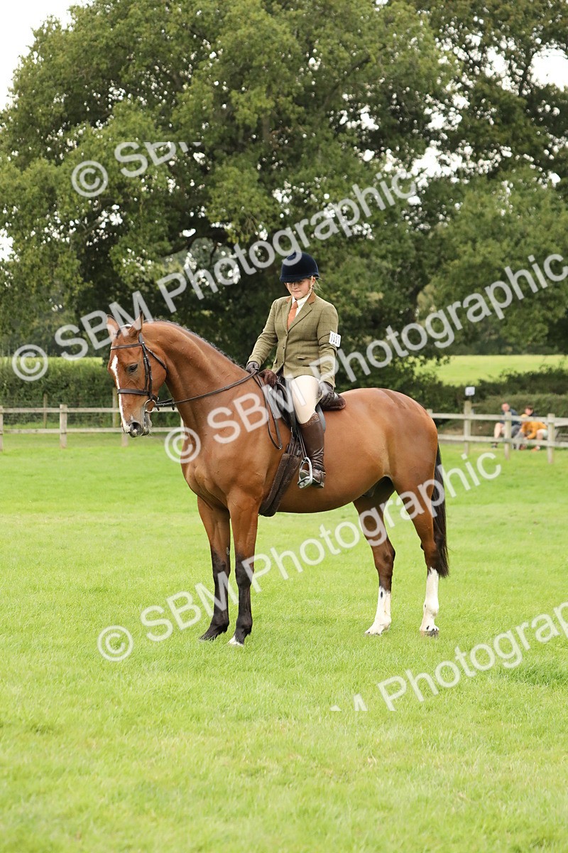 SBM_73741 - S41 - Ridden Equitation (Best Rider)