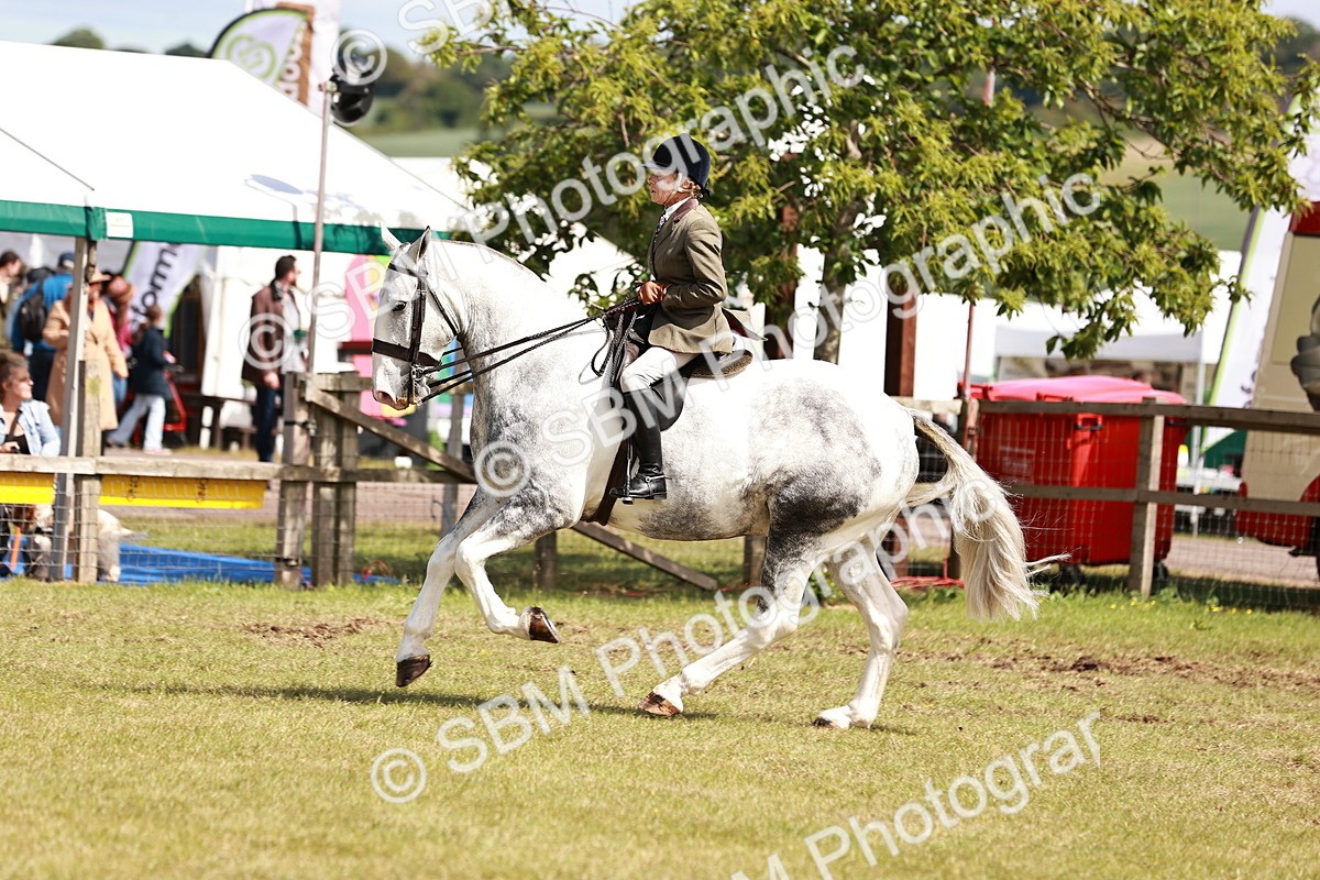 SBM_14038 - Class 85-87 - RIHS Cobs