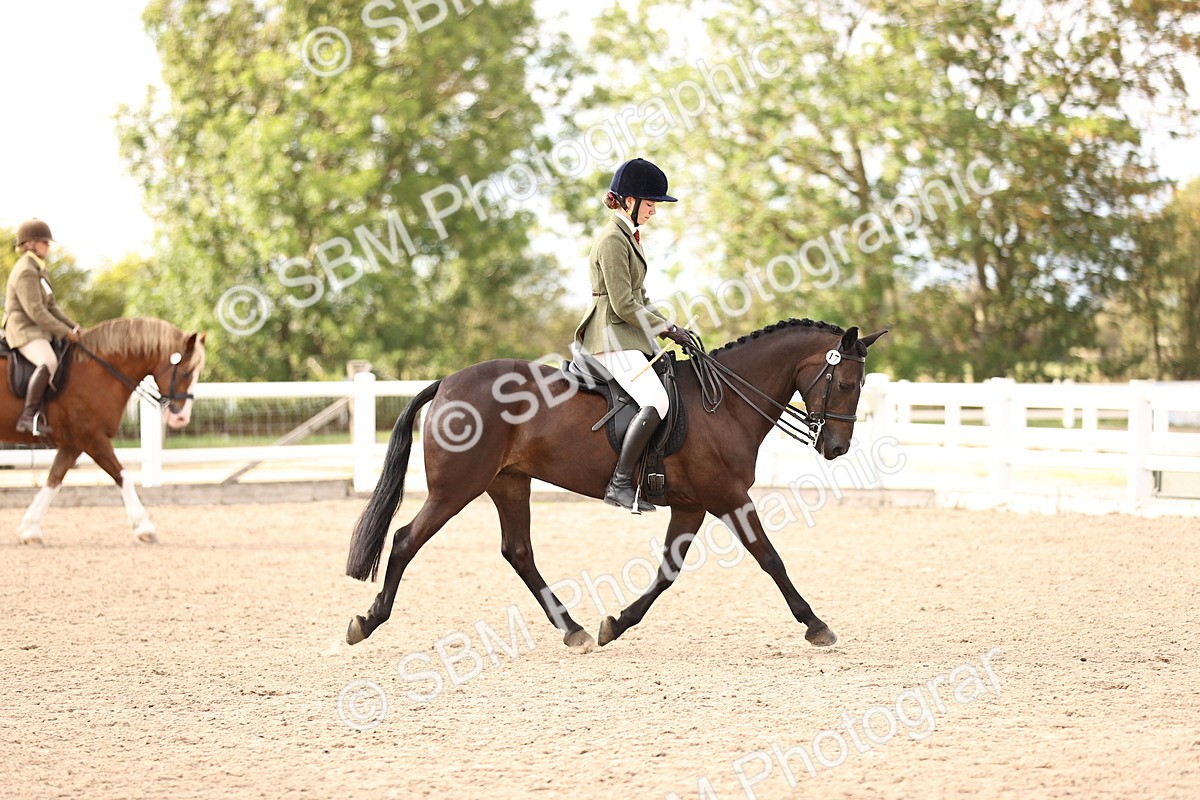 SBM_18142 - Class 423 - Equitation (best rider) Adult