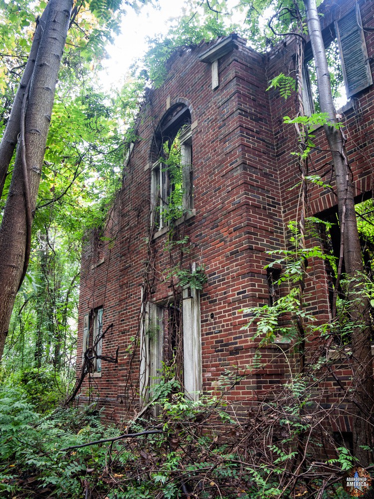 One of Forest Haven's abandoned cottages, overgrown by trees.