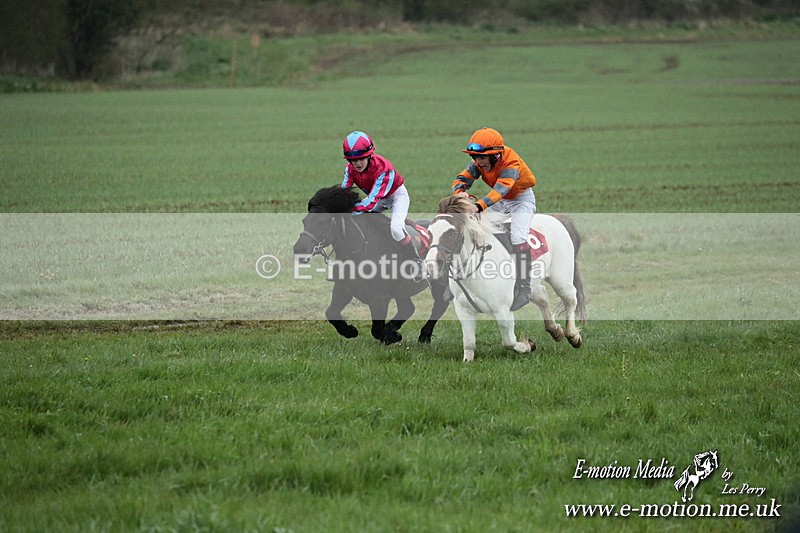 SHETPR 210425 75 - Shetland Ponies Paxford Races 21/04/25