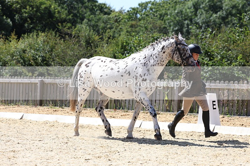 3E7A9407 - Class 29: Veteran In Hand