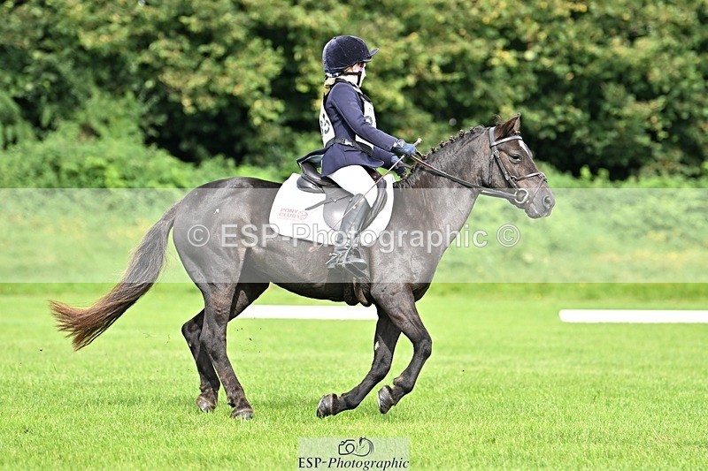 230826-102039-16445 - Sections A & B 10 to End