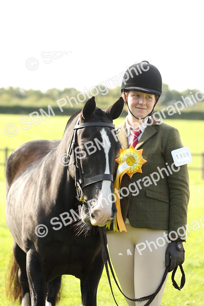 SBM_62363 - S45 - Mini Show Cob In Hand