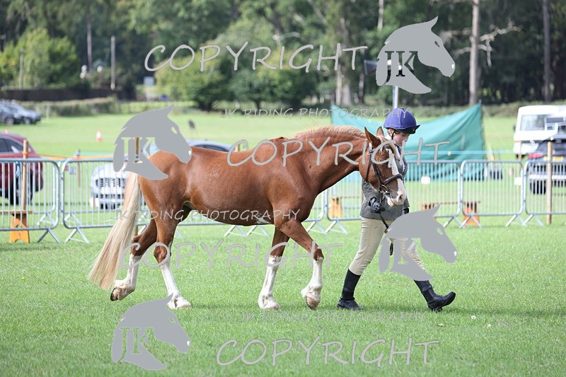 APP_2560 - Class 9 Veterans in hand