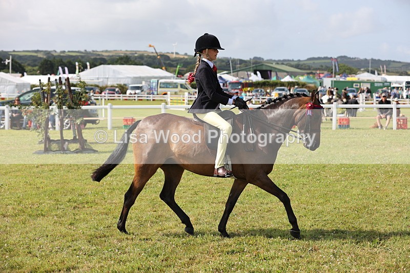 JPP_0731 - Class 16: Cornish Combination Young Rider
