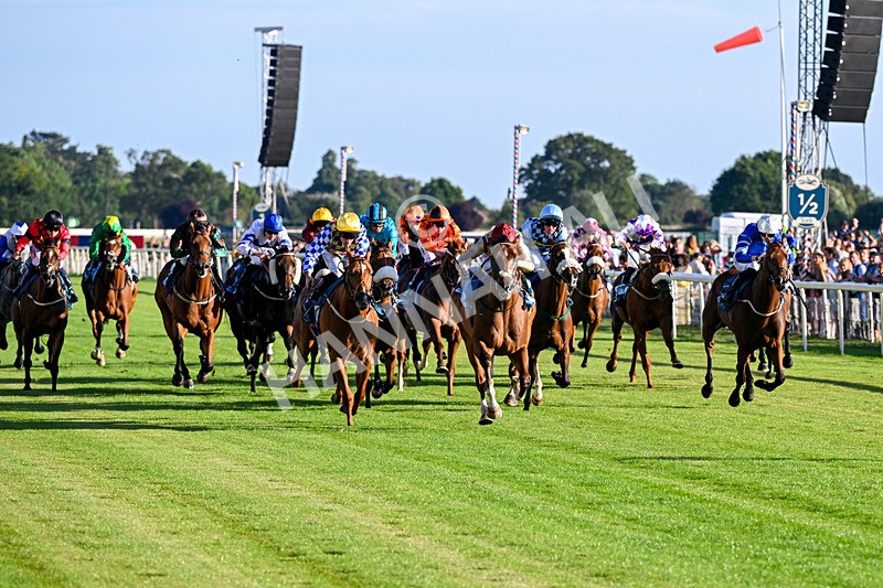 240726-Race 4-Rajaking-5313 - Race 4 19.15pm Tomahawk Handicap