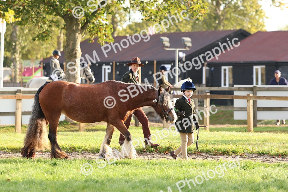 SBM_54747 - S39 - Starters In Hand Showing