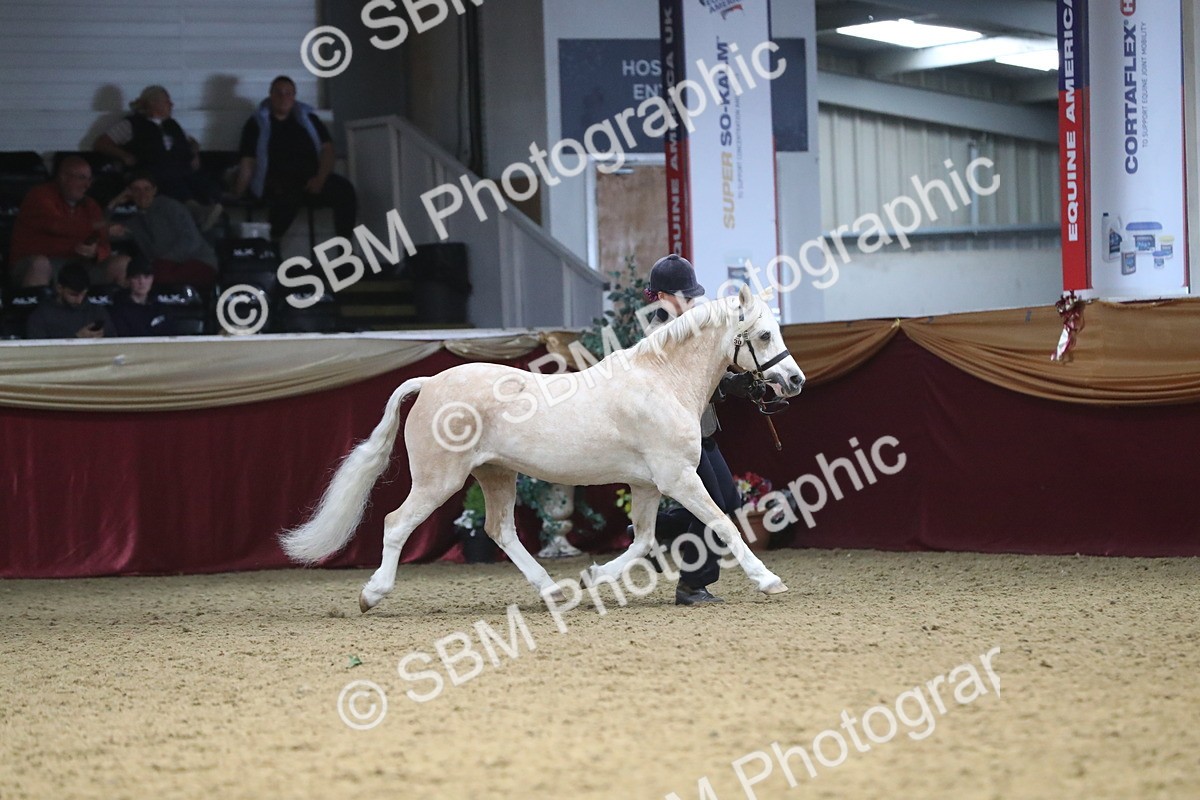 SBM_17177 - M&M Supreme Final Champ