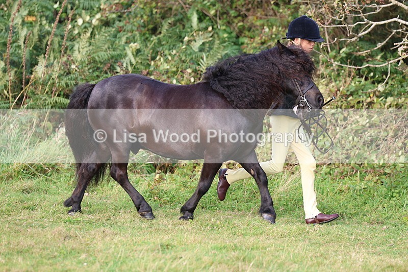 3E7A3136 - Class 12: M & M Small Breeds