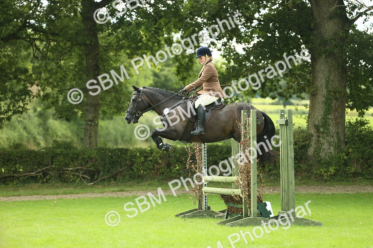 SBM_44771 - S31 - Working Hunter Pony
