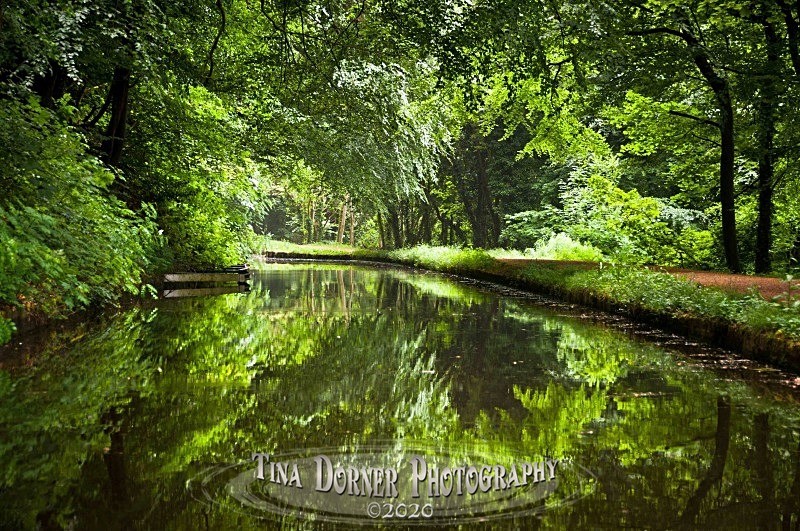 Canal Landscape from Forest of Dean Photos by Tina Dorner Photography, Forest of Dean and Wye Valley, Gloucestershire