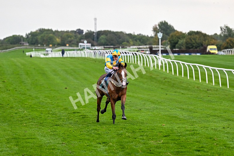 011025-Race 7-Lightning Tiger-0795 - Race 7