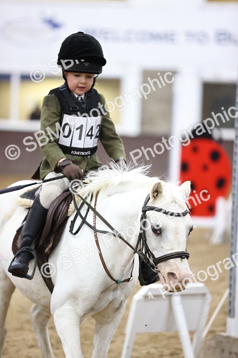 SBM_000022 - Class 1 - Fox Farriers 30cm