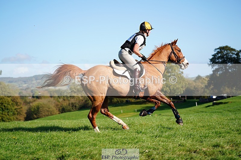 241026-141026-13941 - 502-Alison.Stewart-RICO.III