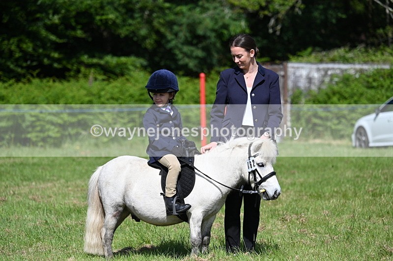 WJ7_0770 - Class 8 First Rally Pony