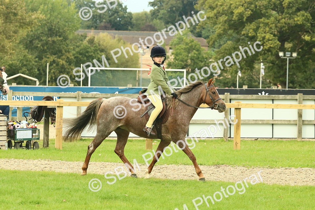 SBM_69955 - S59 - Mountain & Moorland Ridden Small Breeds