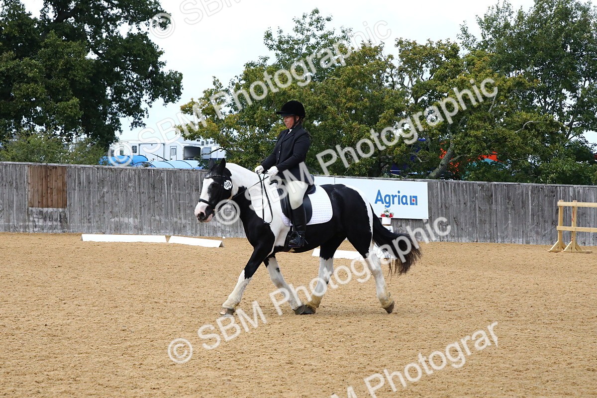 SBM_23432 - D5 - Small Tour Championshop Intro 2