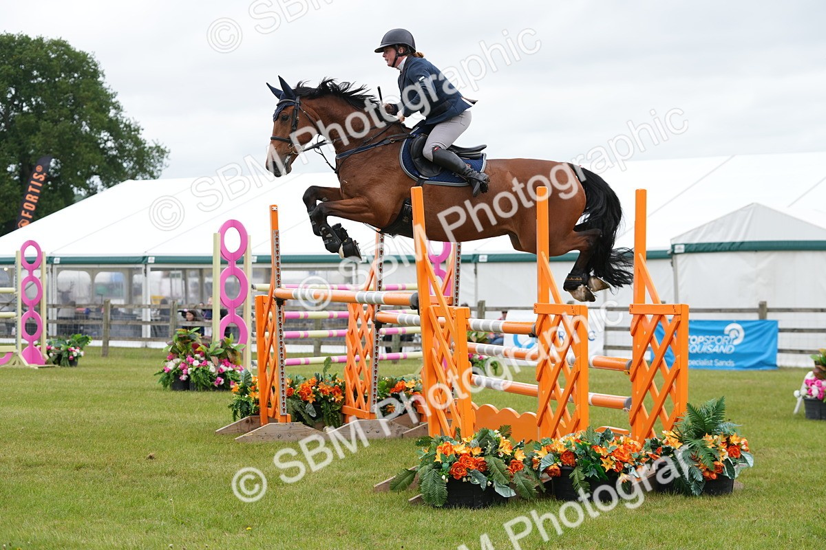 SBM_03171 - Class 201 - British Horse Feeds Speedi Beet Horse of the Year Show Grade  C