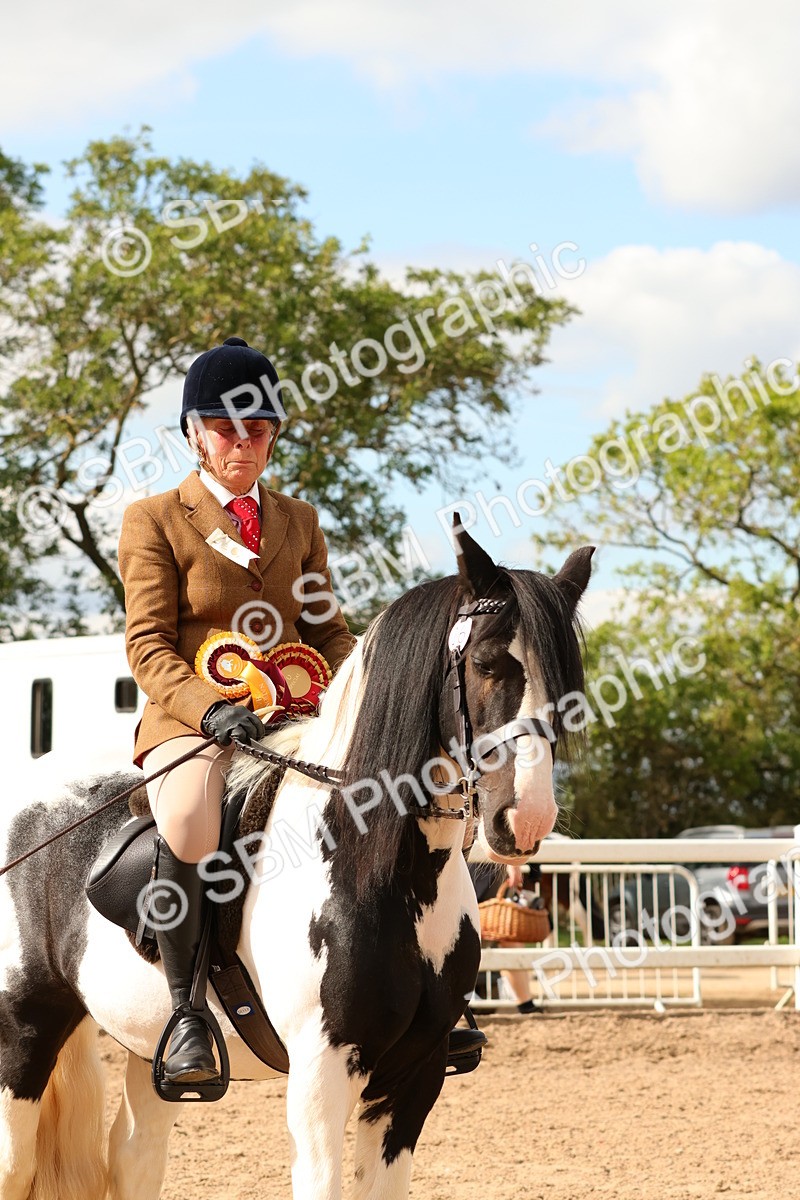 SBM_15735 - Class 215 - Ridden Traditional - Native Cobs