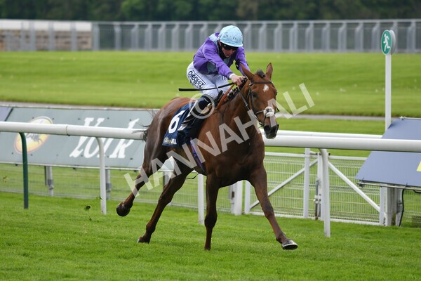 yr22052021r2-19 - Race 2 2.40pm William Hill Brontë Cup