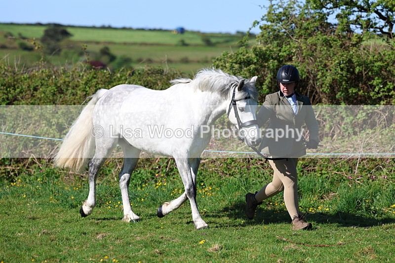3E7A8583 - Class 13: M & M Large Breeds
