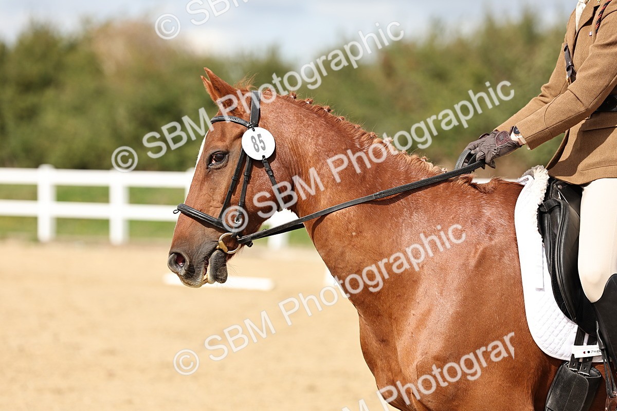 SBM_004811 - Class 70 - Elementary 2