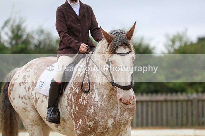 3E7A4907 - Class 1: Intro 4 2024 section A