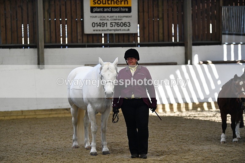 WJ5_3921 - Class 5 In Hand Veterans