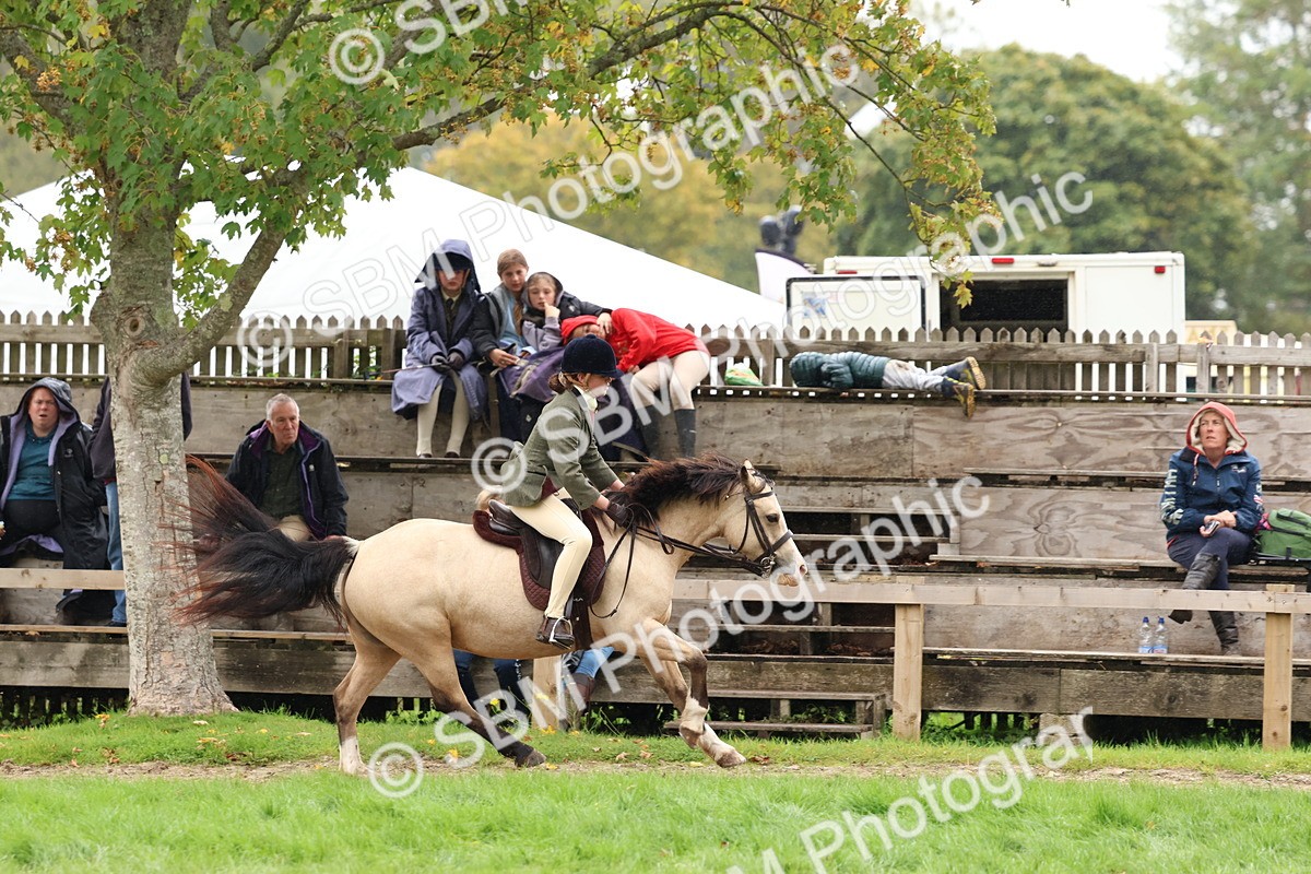 SBM_69639 - S62 - Mountain & Moorland Ridden Large Breeds