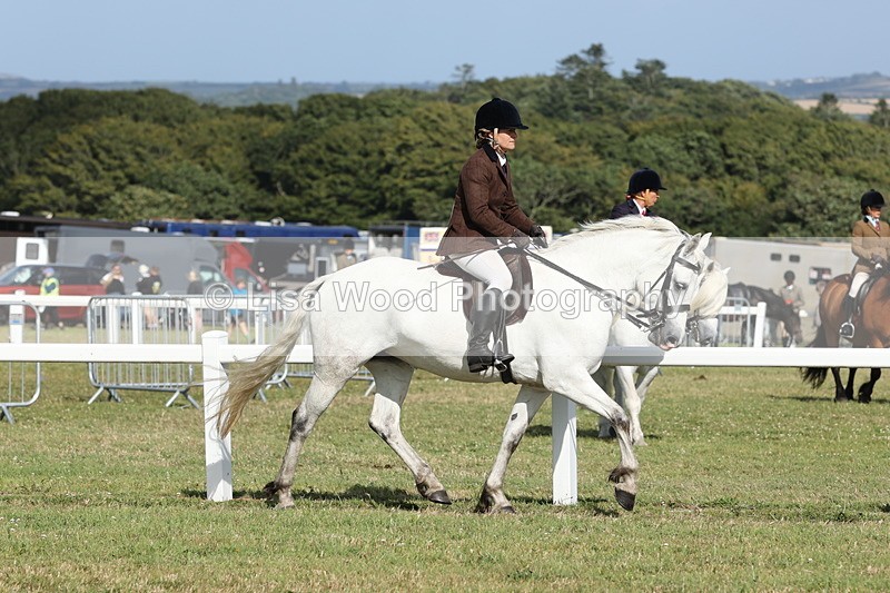 JPP_2877 - Class 20: Working Hunter 70cm