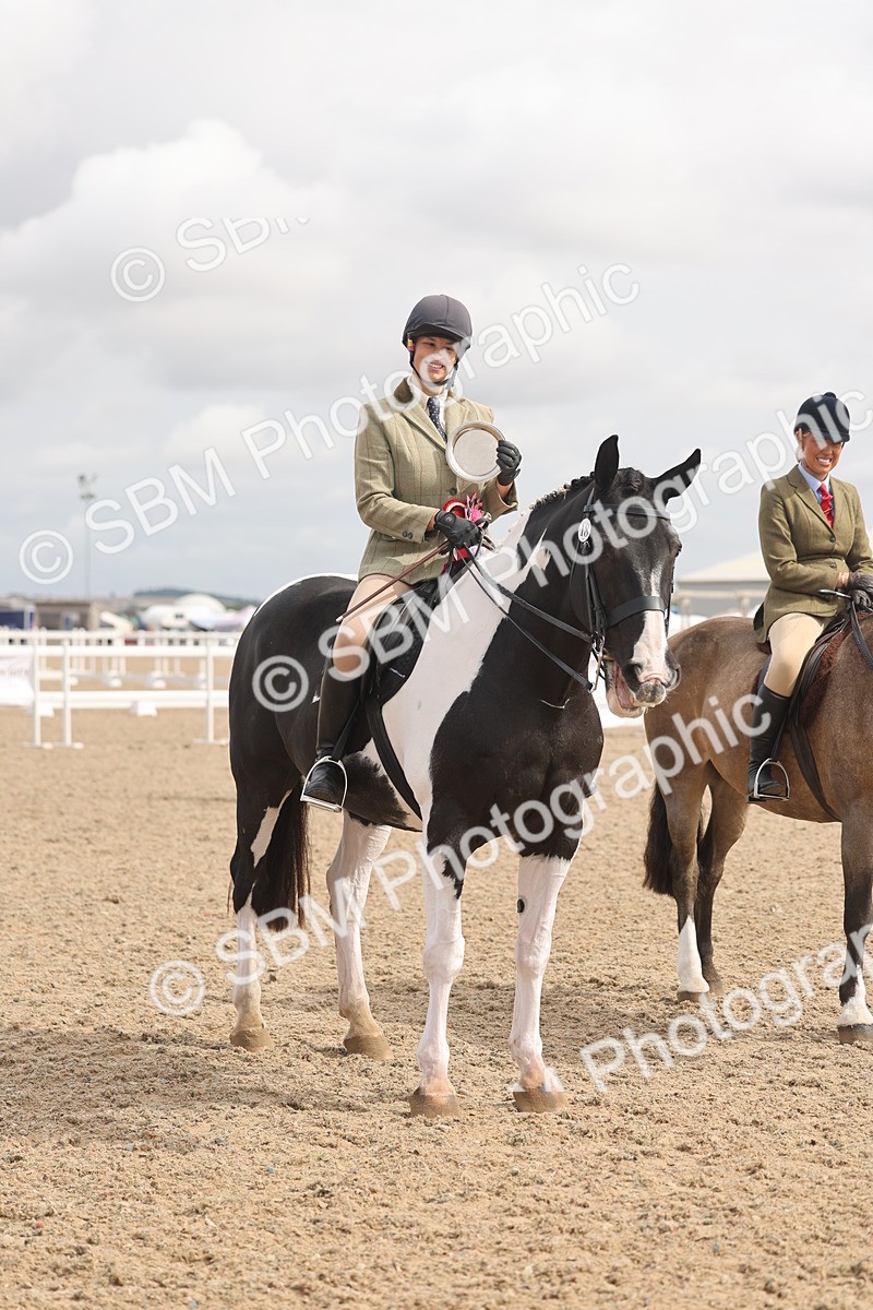 SBM_04568 - Class 19 - Horse/Pony Judge would most like to take home