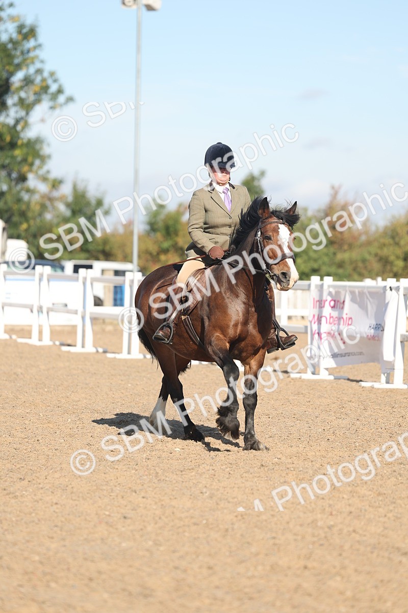SBM_12316 - Class 304 - Ridden part Bred Horse Pony