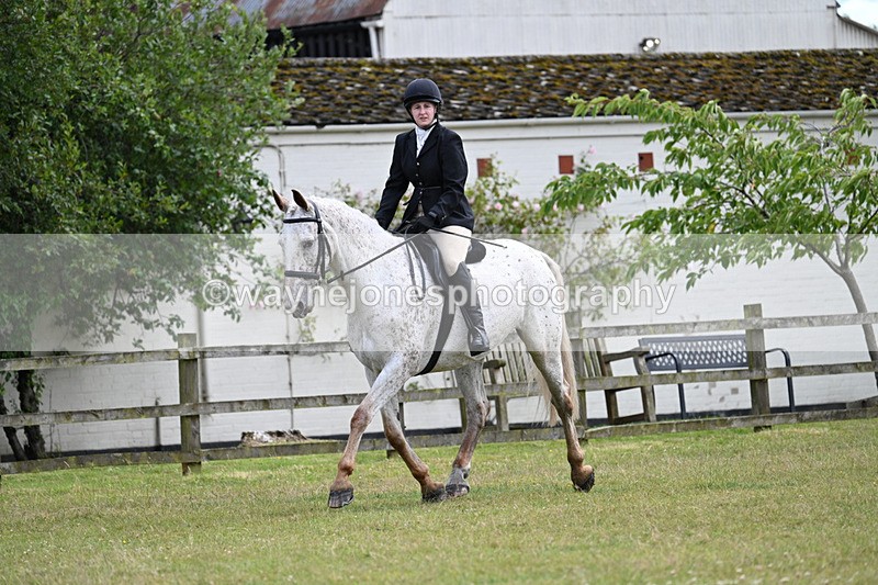 WJ7_8357 - Class 7  Riding Club Show Horse