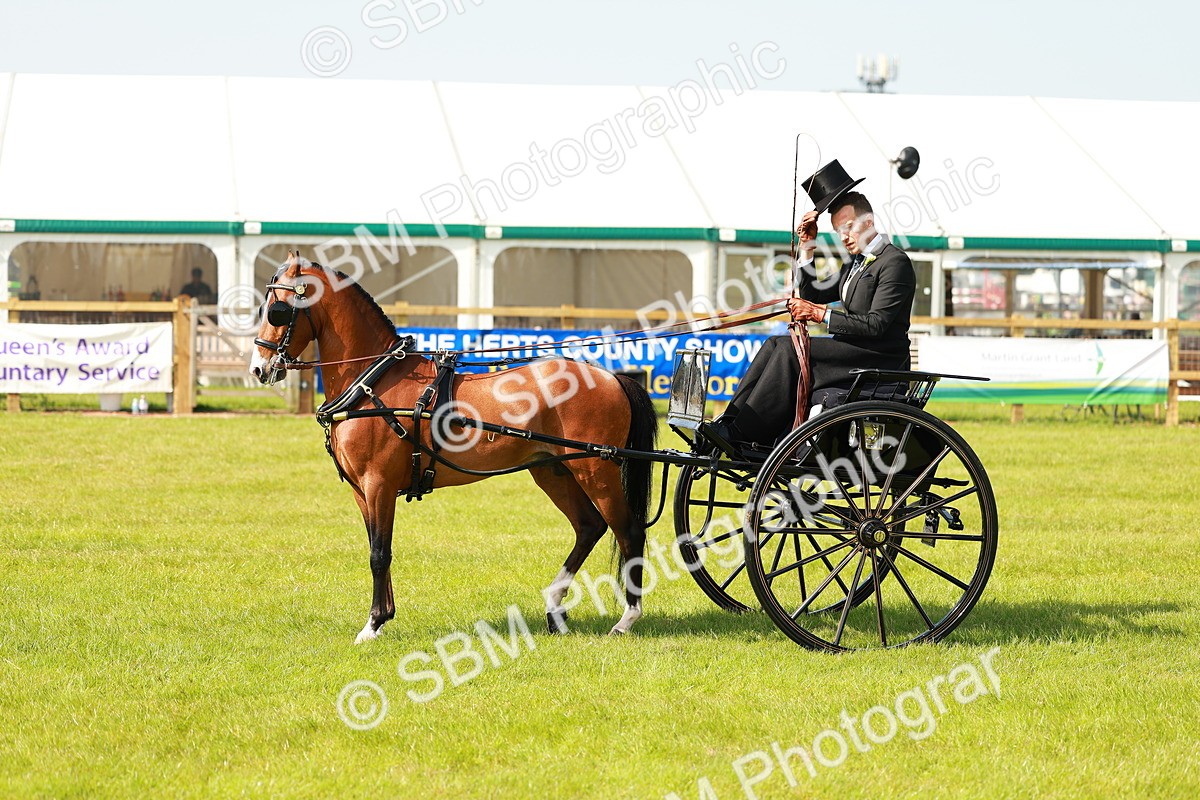 SBM_02687 - Class 2-4 - HOYS Private Driving