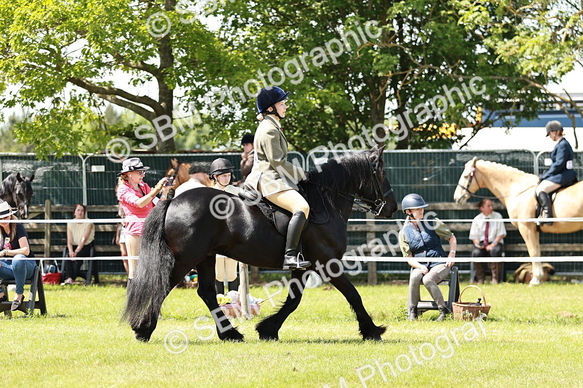 SBM_07044 - Class 26-30 - Mountain and Moorland Ridden