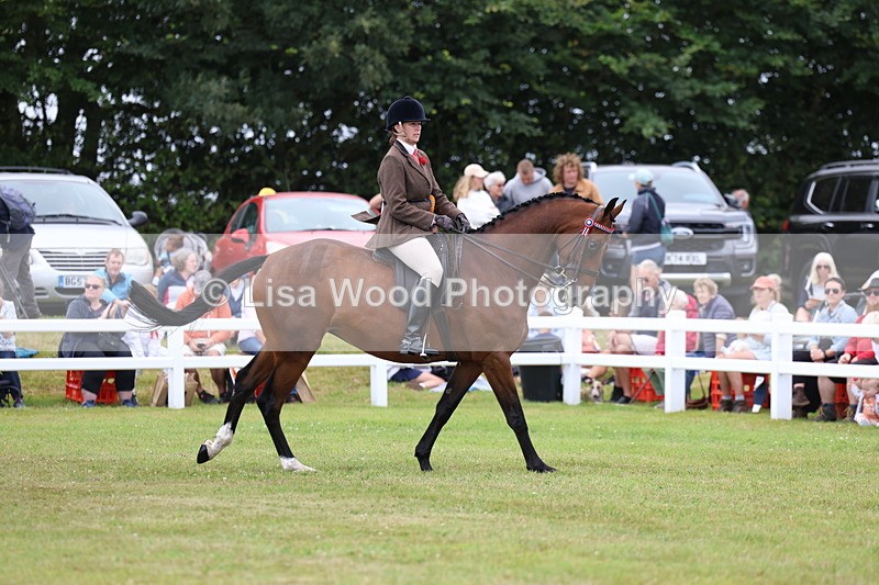 3E7A1299 - Class 8: Open Riding Horse/Hack