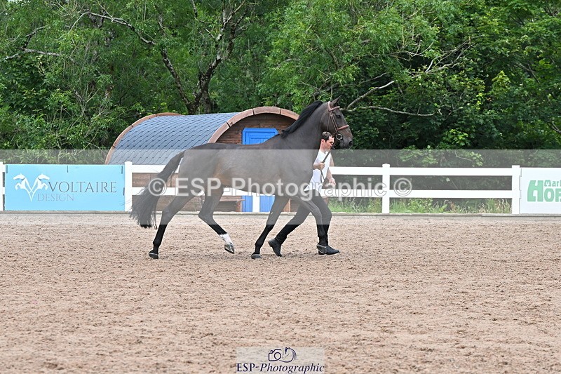 240718A-105322-01905 - Trot Up 2pm to 3pm - This folder is not in time order