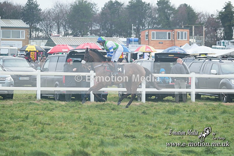 PtP 101223 694 - New Forest Hounds PtP Larkhill 10/12/23