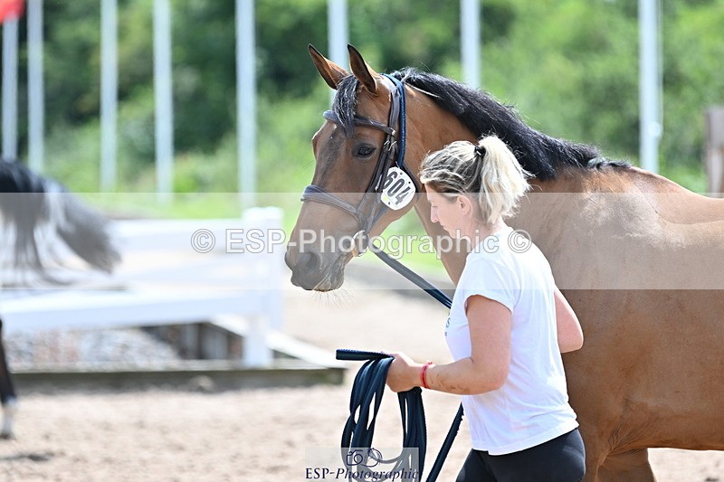 240717A-145012-02328 - Trot Up 2pm to 3pm - This folder is not in time order