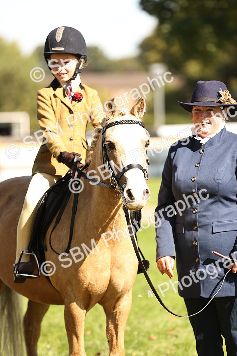 SBM_19296 - S3 - TSR Ridden Pony Showing