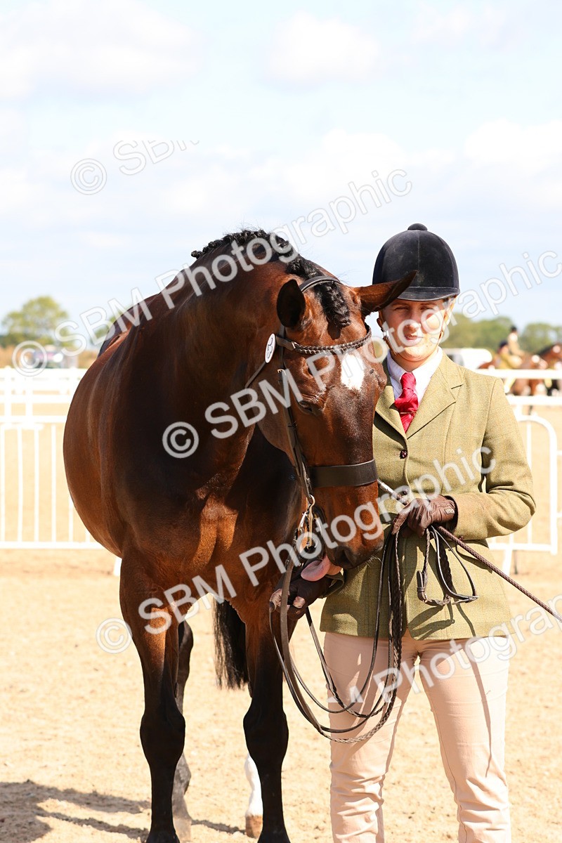SBM_11707 - Class 208 - IH Veteran Horse